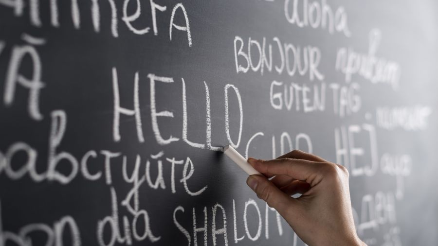Lezioni private di inglese e francese